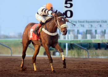 ميدان الملك سعود للفروسية بمنطقة القصيم يقيم حفل سباقه الثامن عشر