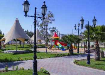 أمانة الطائف تزرع أكثر من 200 ألف شتلة بالحدائق والشوارع لتعزيز البيئة المستدامة