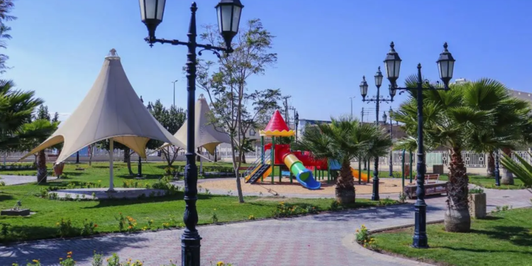 أمانة الطائف تزرع أكثر من 200 ألف شتلة بالحدائق والشوارع لتعزيز البيئة المستدامة