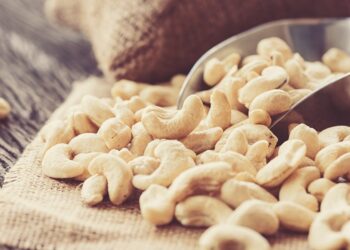 الكاجو.. كنز غذائي بفوائد مذهلة لصحة الجسم (إنفوجراف)