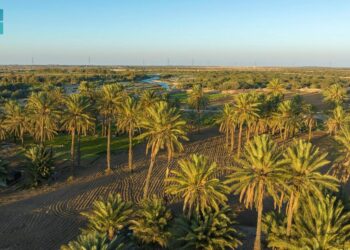 وادي العرج بالطائف.. متنزه الطبيعة والسياحة الثقافية والترفيهية