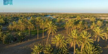 وادي العرج بالطائف.. متنزه الطبيعة والسياحة الثقافية والترفيهية