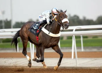 “فروسية الطائف” تحتفل بكأس الأمير سعود بن محمد  الأربعاء