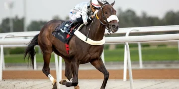 “فروسية الطائف” تحتفل بكأس الأمير سعود بن محمد  الأربعاء