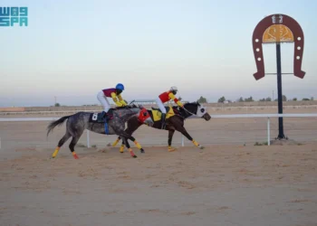 ميدان فروسية الأحساء يقيم حفل سباقه الـ 16 للموسم 1446هـ