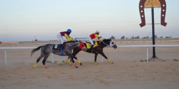 ميدان فروسية الأحساء يقيم حفل سباقه الـ 16 للموسم 1446هـ