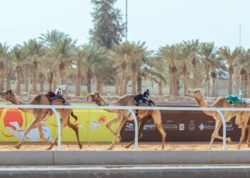 ملاك السعودية يتصدرون منافسات مهرجان خادم الحرمين الشريفين للهجن