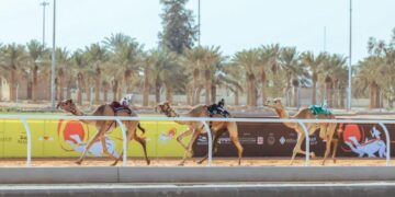 ملاك السعودية يتصدرون منافسات مهرجان خادم الحرمين الشريفين للهجن