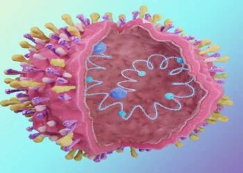 الفيروس التنفسي المخلوي: كبار السن الأكثر عرضة وأولوية في التطعيم