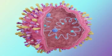 الفيروس التنفسي المخلوي: كبار السن الأكثر عرضة وأولوية في التطعيم