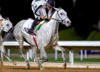 ميدان الملك عبد العزيز للفروسية بالرياض يستعد لاستضافة كأس السعودية 2025