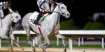 ميدان الملك عبد العزيز للفروسية بالرياض يستعد لاستضافة كأس السعودية 2025