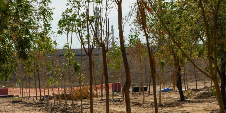 “كدانة” تطلق مبادرة “المشاعر الخضراء” بزراعة 20 ألف شجرة بالمشاعر المقدسة في المرحلة الأولى