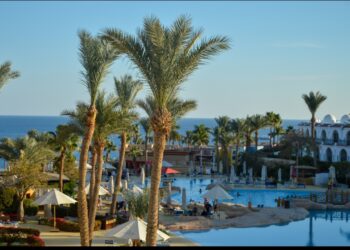 فنادق سافوي شرم الشيخ ترحب بالضيوف من السوق السعودي والخليجي بخدمات فاخرة وإقامة استثنائية