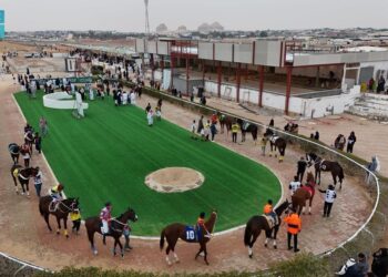 ميدان فروسية الأحساء يقيم سباقه الخامس عشر للموسم 1446هـ