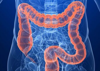 الخضيري :التوتر وسوء التغذية يفاقمان أعراض القولون العصبي