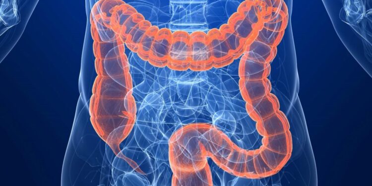 الخضيري :التوتر وسوء التغذية يفاقمان أعراض القولون العصبي