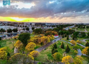 أمانة منطقة تبوك تخصص مواقع موسمية للبسطات الرمضانية لتنظيم نشاط الباعة