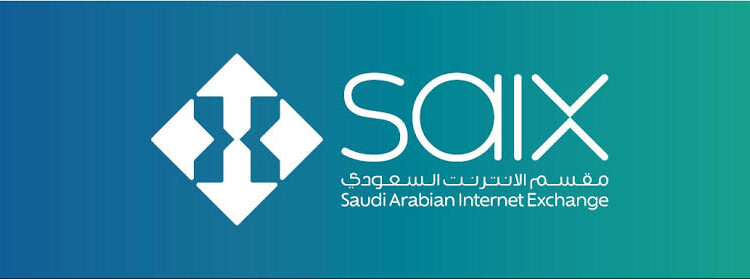 السعودية تحقق إنجازًا عالميًا مع SAIX.. أول مقسم إنترنت في المنطقة ينضم لـ “نادي التيرابت” (إنفو جراف)