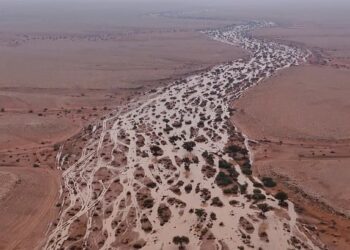 شاهد.. لوحات جمالية ومناظر ساحرة يرسمها “وادي الشوكي” شمال الرياض