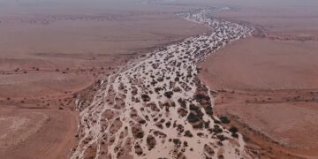 شاهد.. لوحات جمالية ومناظر ساحرة يرسمها “وادي الشوكي” شمال الرياض