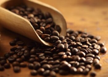 البنّ السعودي يصل إلى أوروبا.. أول شحنة من مزارع الداير في جازان تتجه إلى بلجيكا