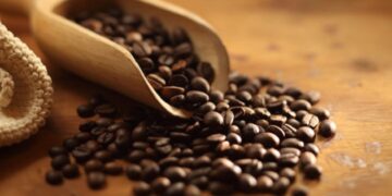 البنّ السعودي يصل إلى أوروبا.. أول شحنة من مزارع الداير في جازان تتجه إلى بلجيكا