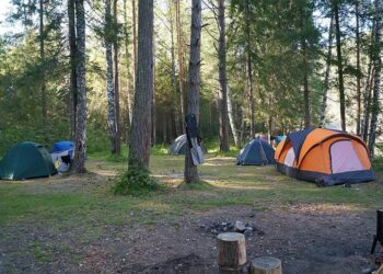 نصائح ذهبية لضمان تخييم آمن وممتع في أحضان الطبيعة