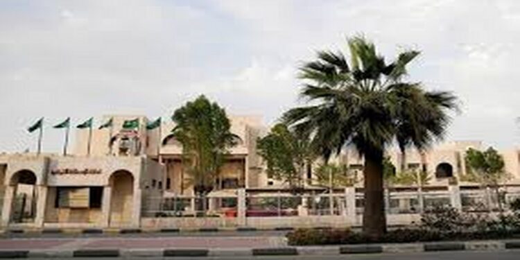 أمانة الشرقية تطرح 226 فرصة استثمارية مؤقتة لدعم رواد الأعمال والمستثمرين