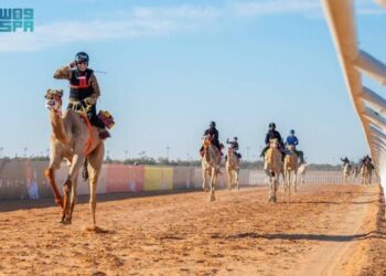 ارتفاع أعداد المشاركين في مهرجان خادم الحرمين الشريفين للهجن 2025