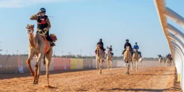 ارتفاع أعداد المشاركين في مهرجان خادم الحرمين الشريفين للهجن 2025