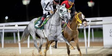 إقامة كأس الأمن العام وكأس نادي سباقات الخيل في الأسبوع التاسع عشر من موسم سباقات الرياض