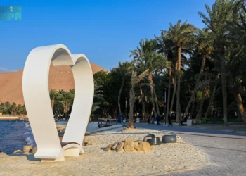 متنزه النخيل.. وجهة مميزة للزوار في حقل تبوك (إنفوجراف)