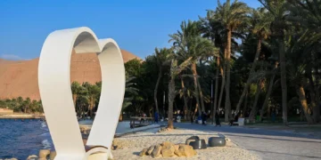 متنزه النخيل.. وجهة مميزة للزوار في حقل تبوك (إنفوجراف)