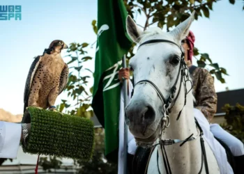 فعاليات وأنشطة متنوعة بالعاصمة المقدسة احتفاء بـ”يوم التأسيس”