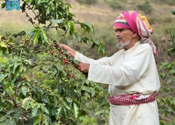 رجال ألمع.. نافذة اقتصادية عززت مكانتها السياحية في عسير