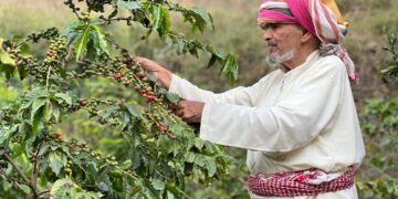 رجال ألمع.. نافذة اقتصادية عززت مكانتها السياحية في عسير