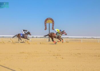 ميدان الفروسية بالأحساء ينظم شوط الفارسات لسباق السرعة في نسخته الثانية لموسم ٢٠٢٥م