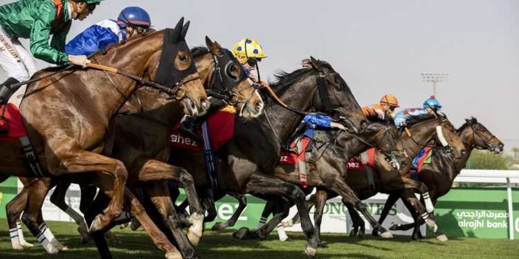 نادي سباقات الخيل يكشف عن القوائم الأولية للمشاركين في مهرجان كأس السعودية 2025