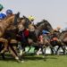 نادي سباقات الخيل يكشف عن القوائم الأولية للمشاركين في مهرجان كأس السعودية 2025