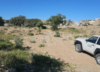 بيئة الطائف تنفذ جولات رقابية لرصد التعديات في الأودية والشعاب