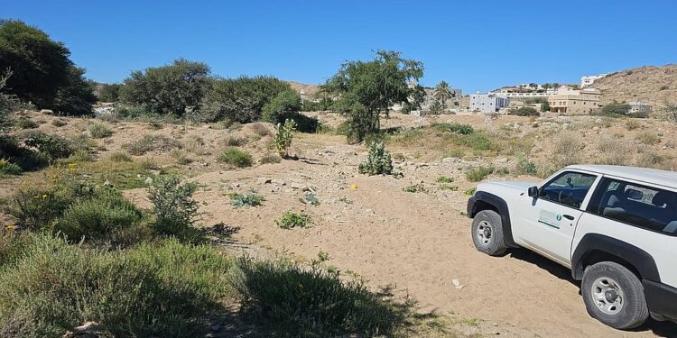 بيئة الطائف تنفذ جولات رقابية لرصد التعديات في الأودية والشعاب
