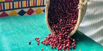 4 أطنان من البُن السعودي” في انطلاق النسخة الثانية من مهرجان البُن برجال ألمع