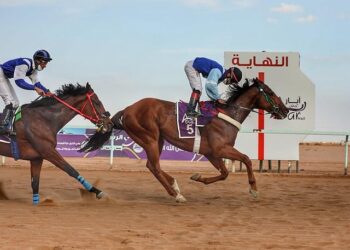 ميدان فروسية حائل ينظم غدًا حفل سباقه الثاني عشر