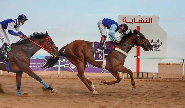 ميدان فروسية حائل ينظم غدًا حفل سباقه الثاني عشر