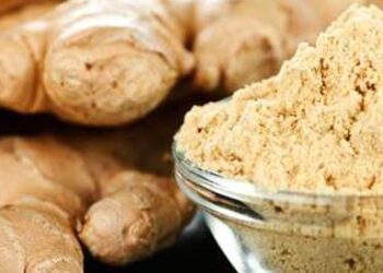 الخضيري يحذر من المعلومات المغلوطة حول الزنجبيل وأثره الصحي