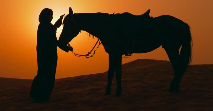 شيهانة: فارسة سعودية تلهم النساء وتدربهن على الفروسية