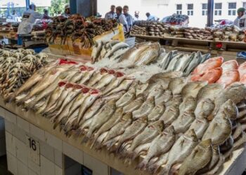 القطاع السمكي السعودي.. تطور ملحوظ ونمو مستدام في 2025 (إنفوجراف)