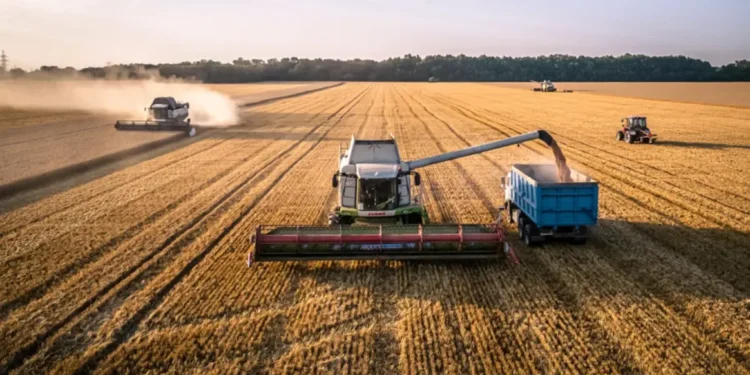 وزير البيئة يدشّن 3 أصناف جديدة من القمح عالية الإنتاجية