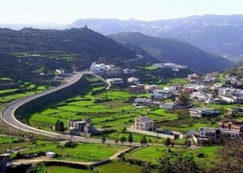 مزارع منطقة الباحة: تنوع المحاصيل الزراعية ودورها في تلبية احتياجات الأسواق المحلية